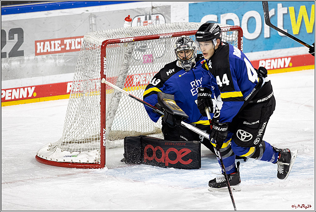 PENNY DEL;  Koelner Haie - Grizzlys Wolfsburg; Koeln, 25.11.2021